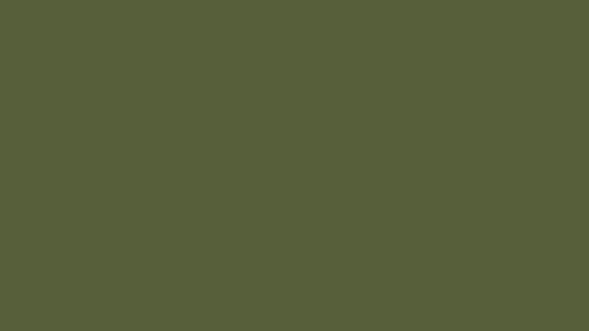 Kaindl D25736 MN Moss zöld Bútorlap